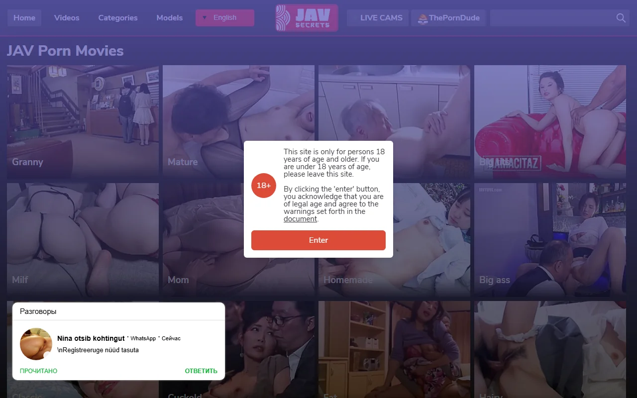 Screenshot: Javsecrets Screenshot of Javsecrets